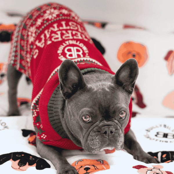 Christmas Dog Fleece