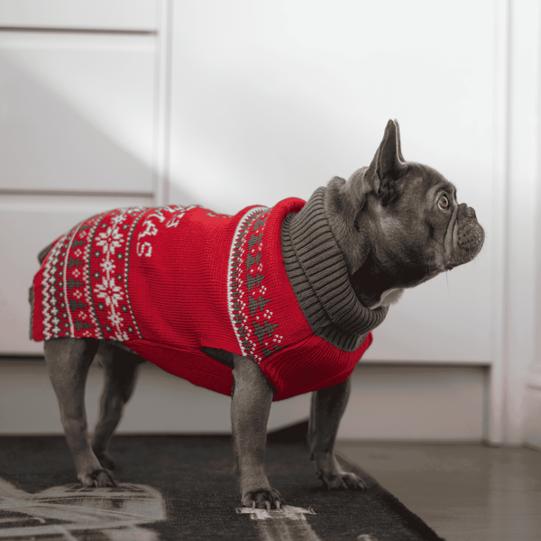 Christmas Dog Fleece