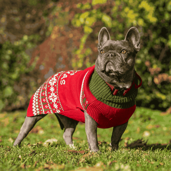 Christmas Dog Fleece