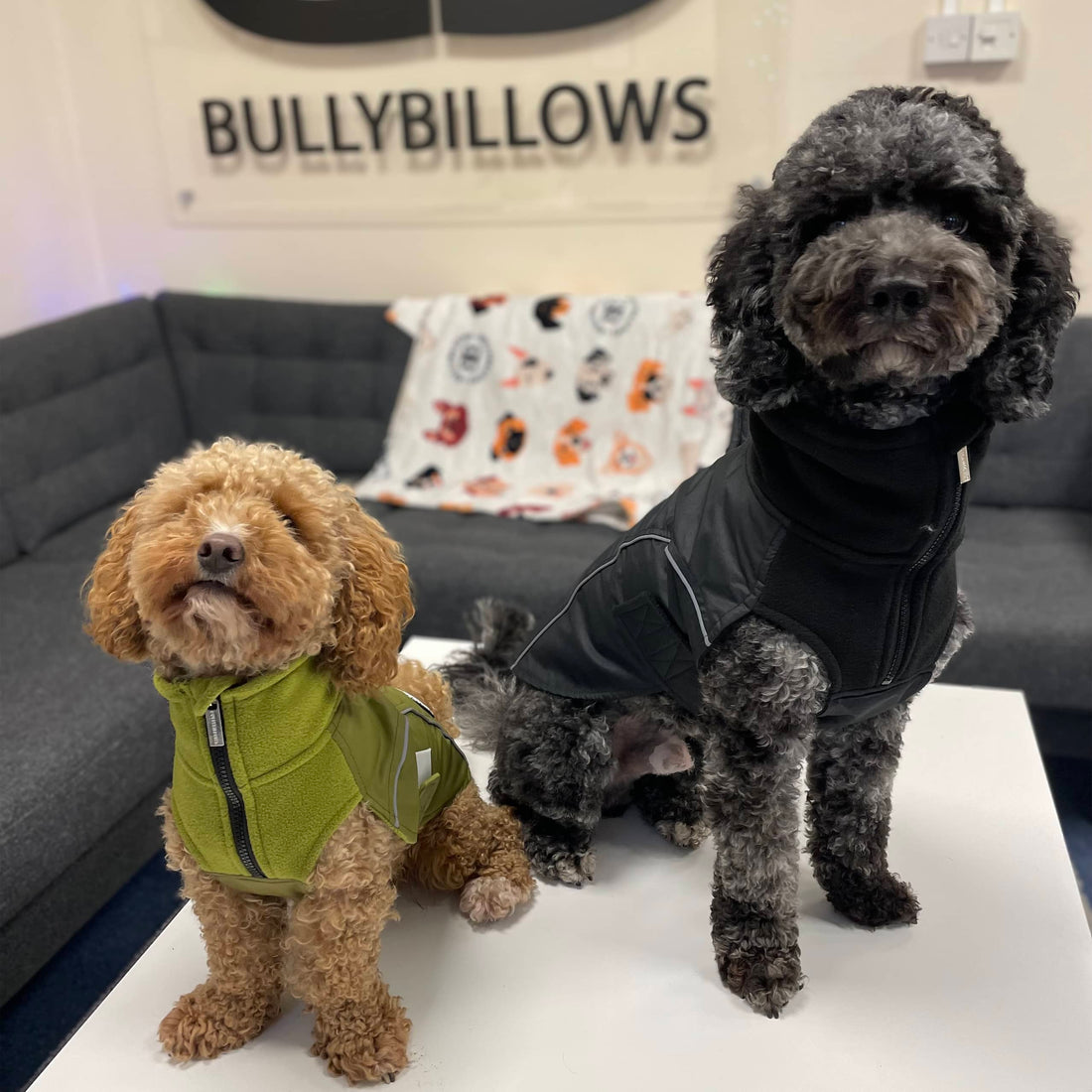 featured image of Dog Coat With Zip - Shower Proof - Olive Green