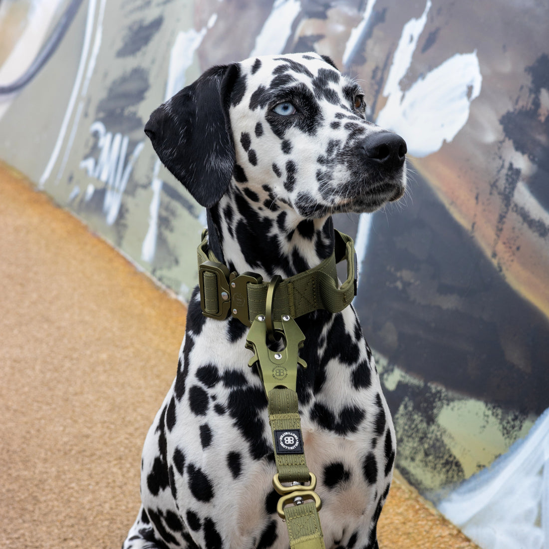 featured image of 5cm Lighter Combat® Collar | With Handle & Secure Clip - Khaki x Khaki