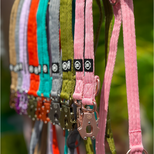 Lightweight Training Double Ended Leash | 2m Length