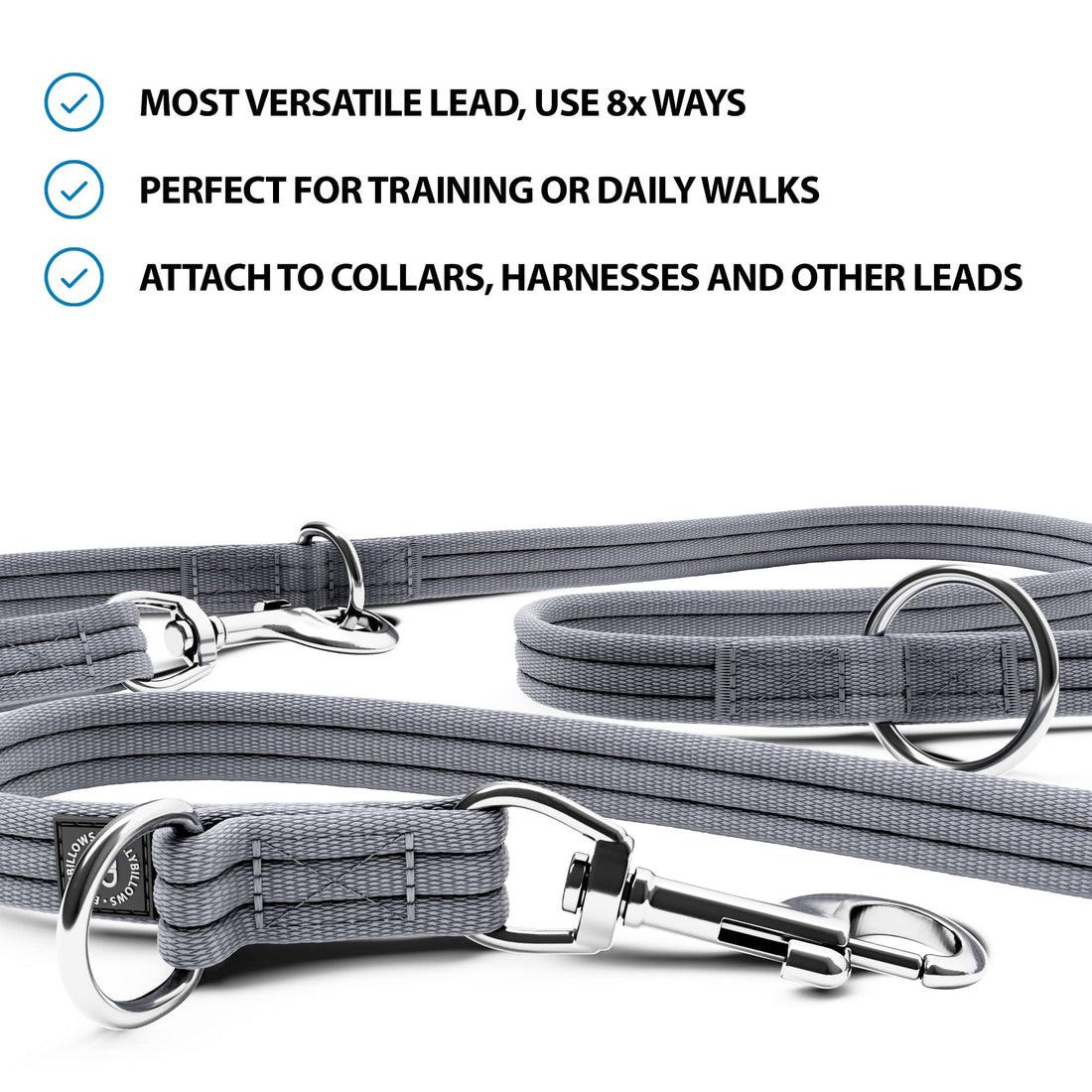 featured image of Training Double Ended Dog Leash | 2m Length - Metal Grey