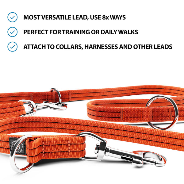 Training Double Ended Dog Lead | 2m Length -  Orange