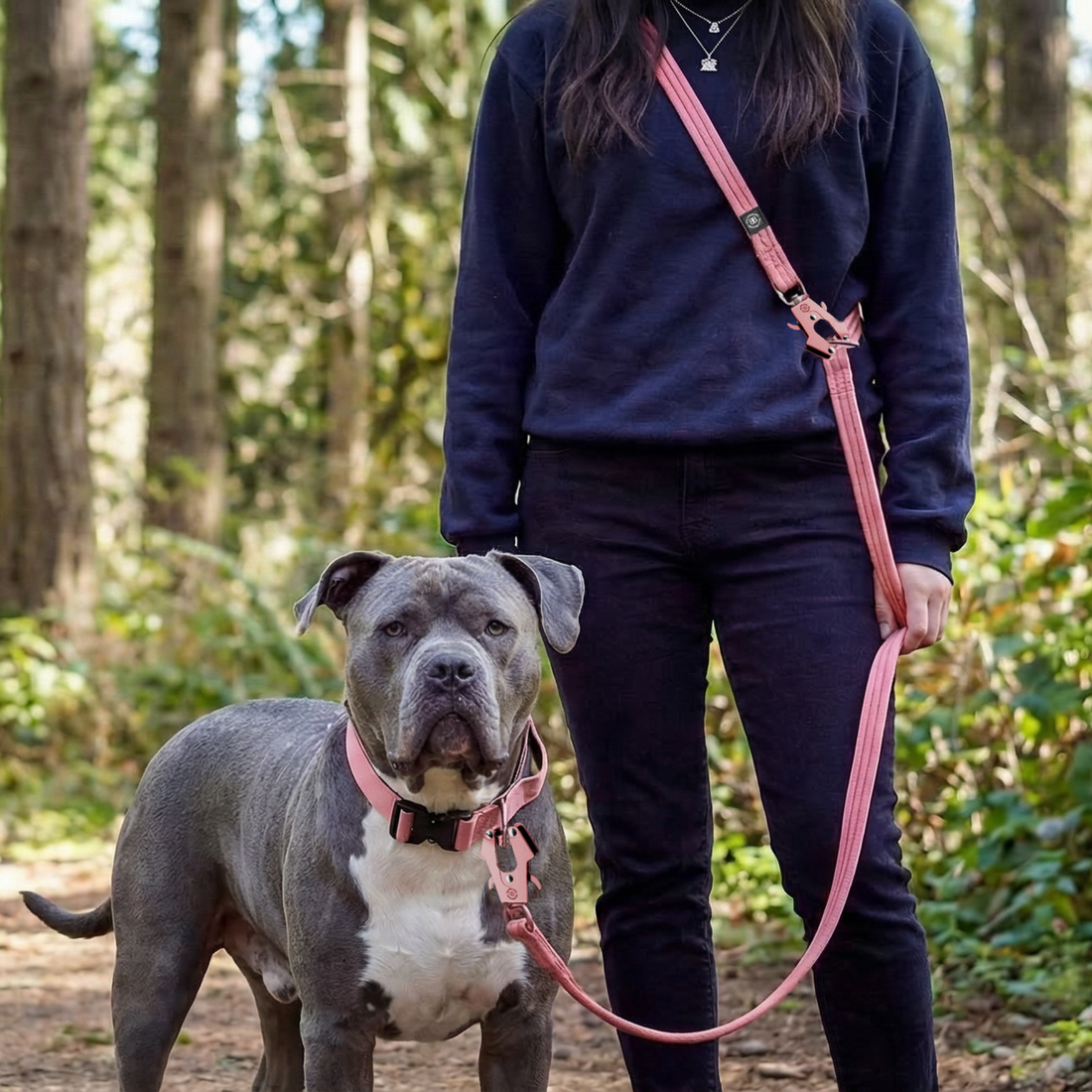 featured image of Lightweight Training Double Ended Dog Leash | 2m Length - Black