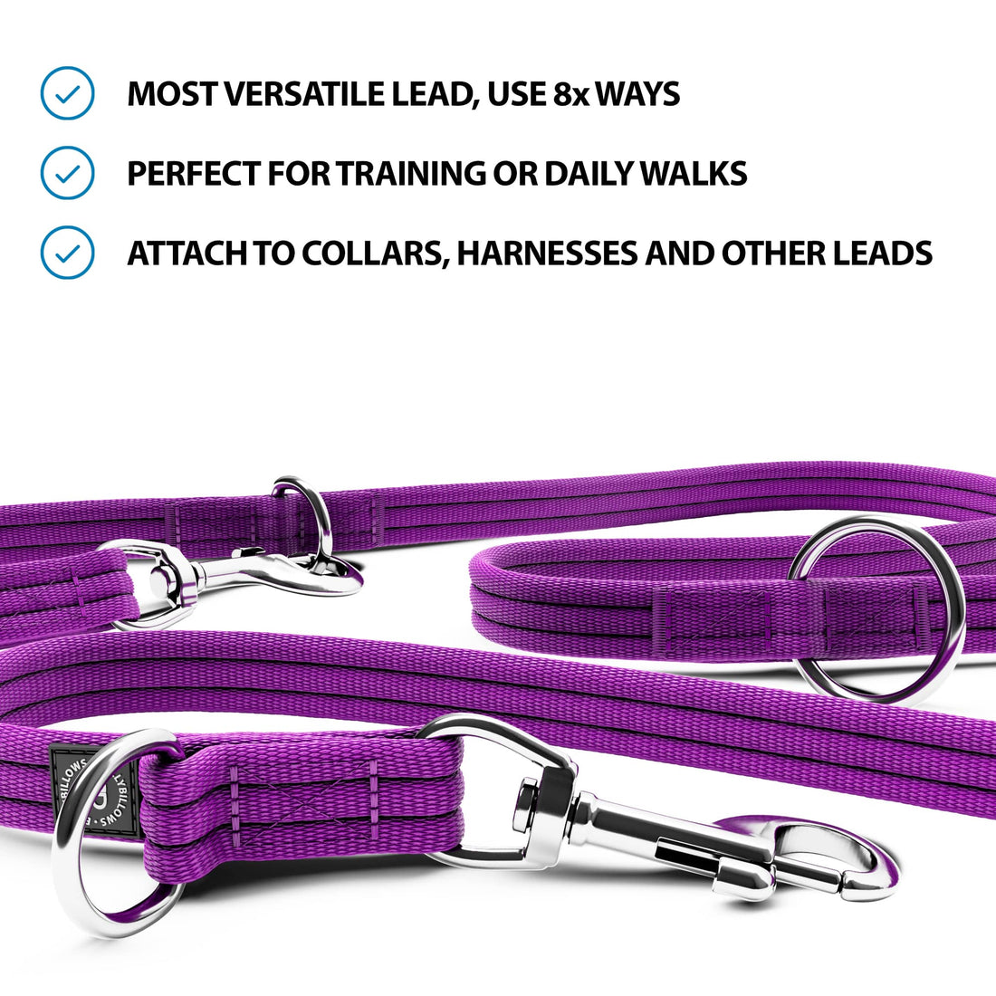 featured image of Training Double Ended Dog Leash | 2m Length - Purple