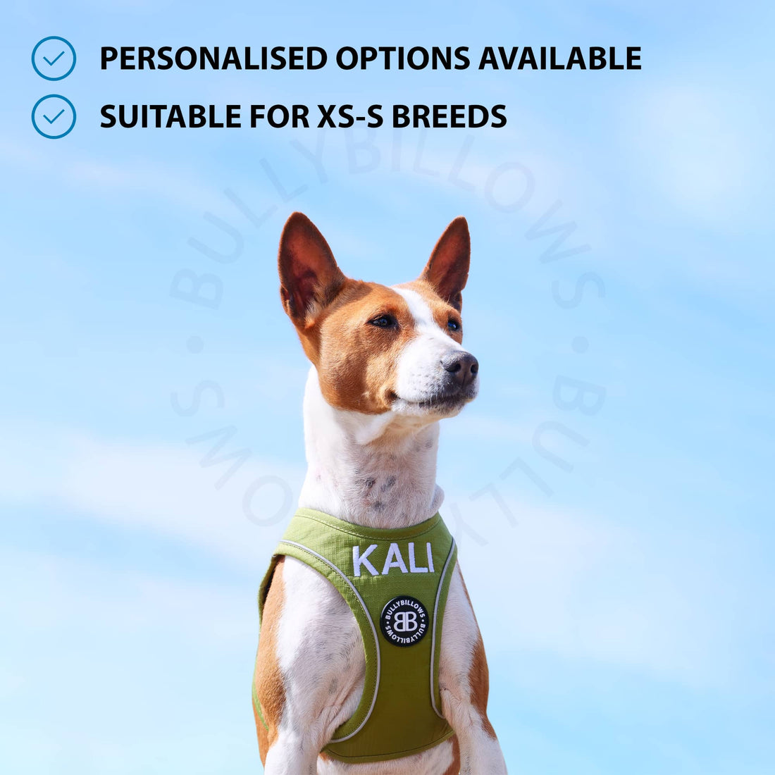 featured image of Step in Harness | XS-M Breeds - Carminerose
