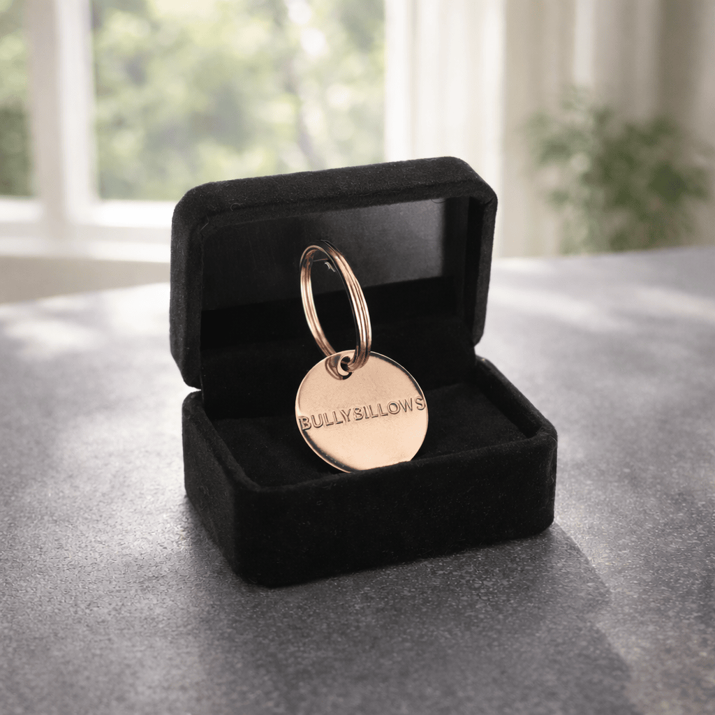 featured image of Dog ID Tag - Rose Gold (With Gift Box)