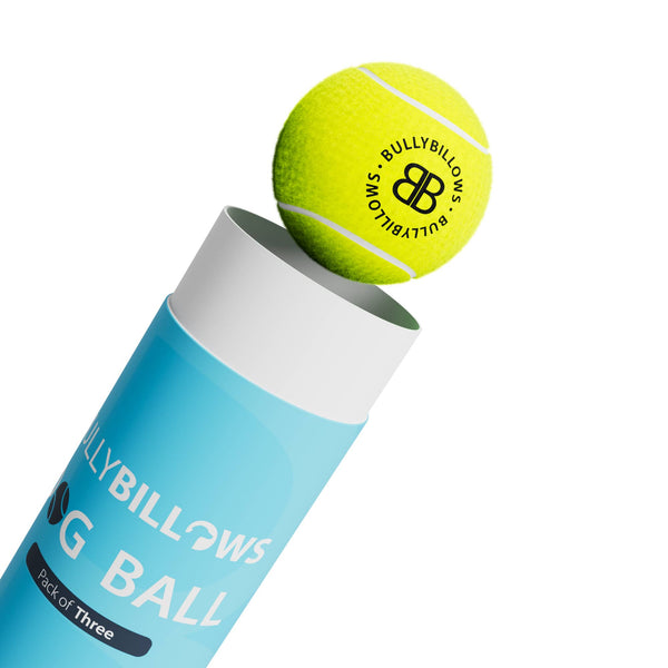 Dog Tennis Balls