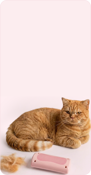 Cat laying next to a pile of its fur