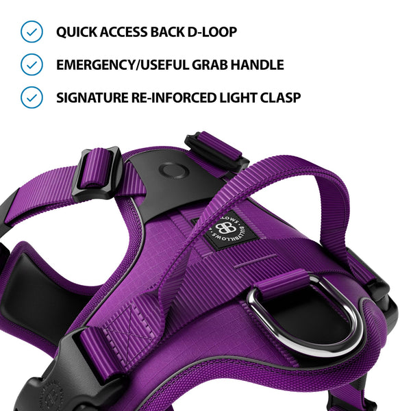 Anti Pull Hurricane Harness Lighter | With Handle - Purple