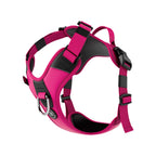 Anti Pull Hurricane Harness Lighter | With Handle - Carminerose