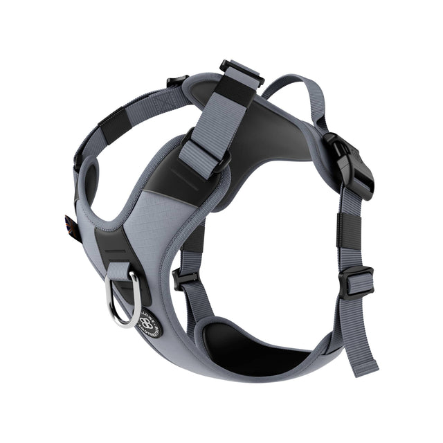 Anti Pull Hurricane Harness Lighter | With Handle - Grey