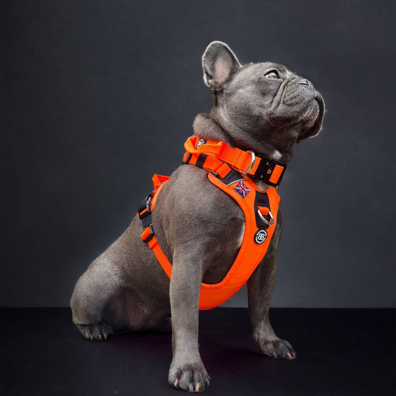 Anti Pull Hurricane Harness Lighter | With Handle - Grey