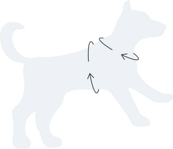 Size chart for 
Anti-Pull TRI-Harness® | Training Dog Harness for All Breeds - Black