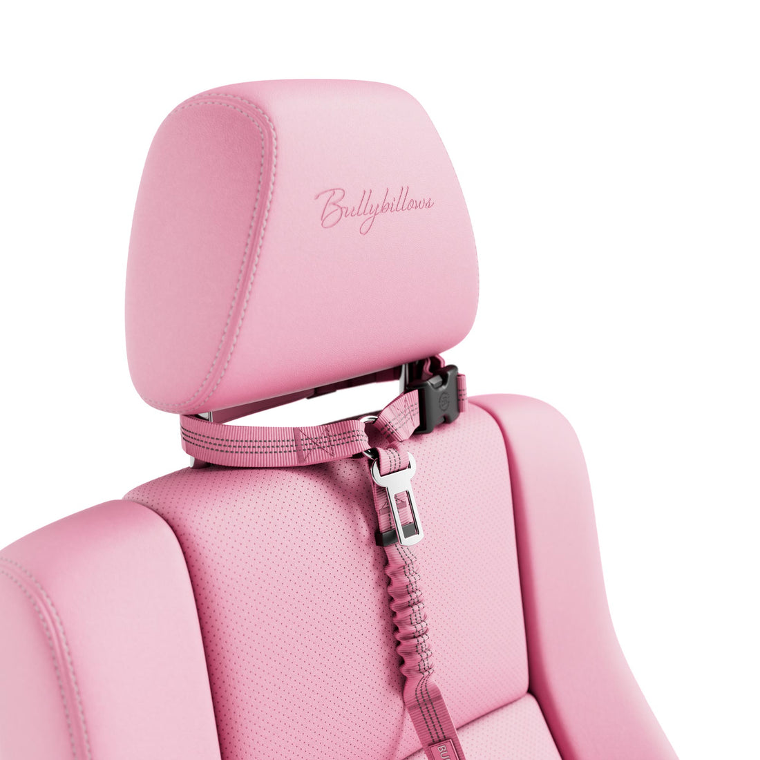 featured image of Headrest Car Seatbelt