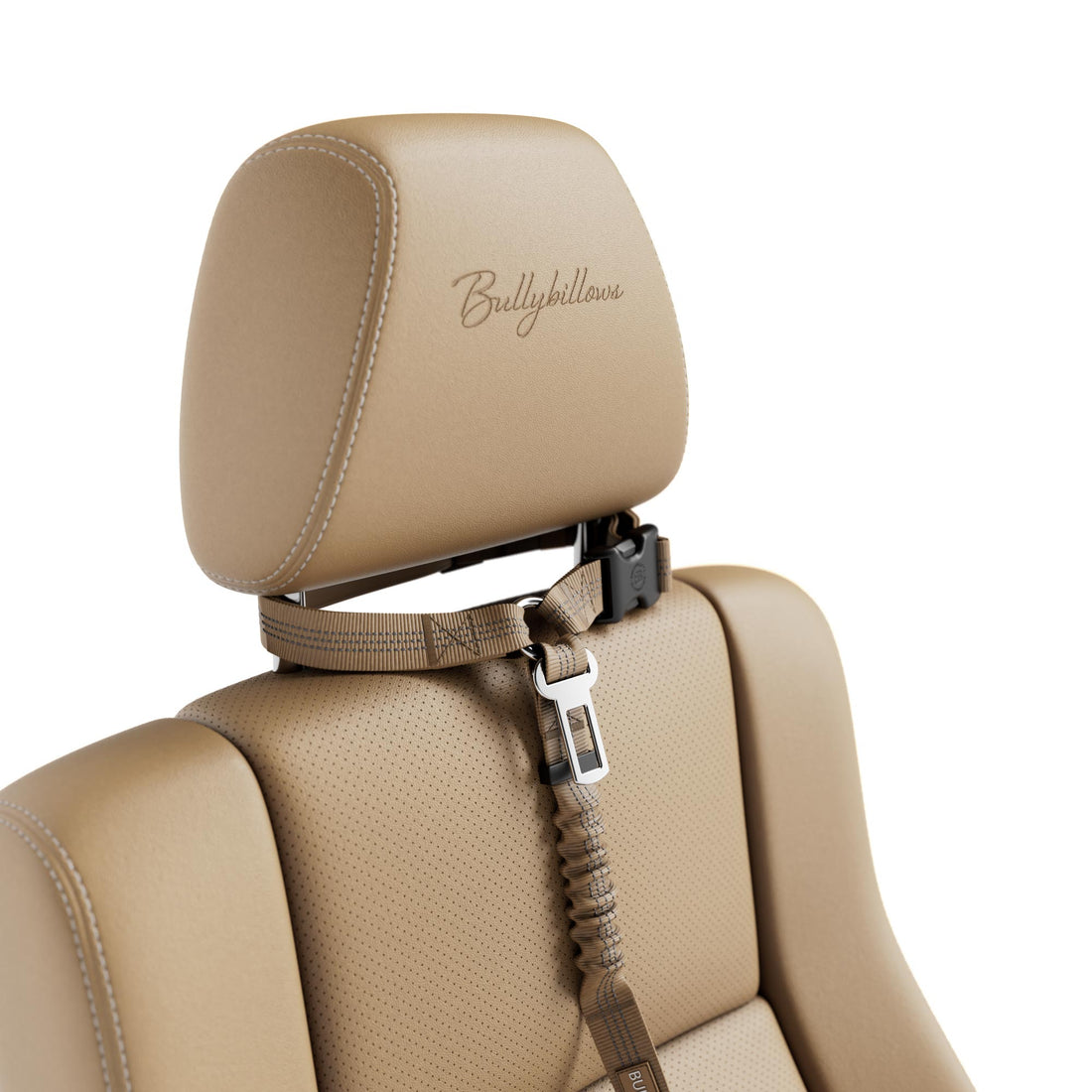 featured image of Headrest Car Seatbelt
