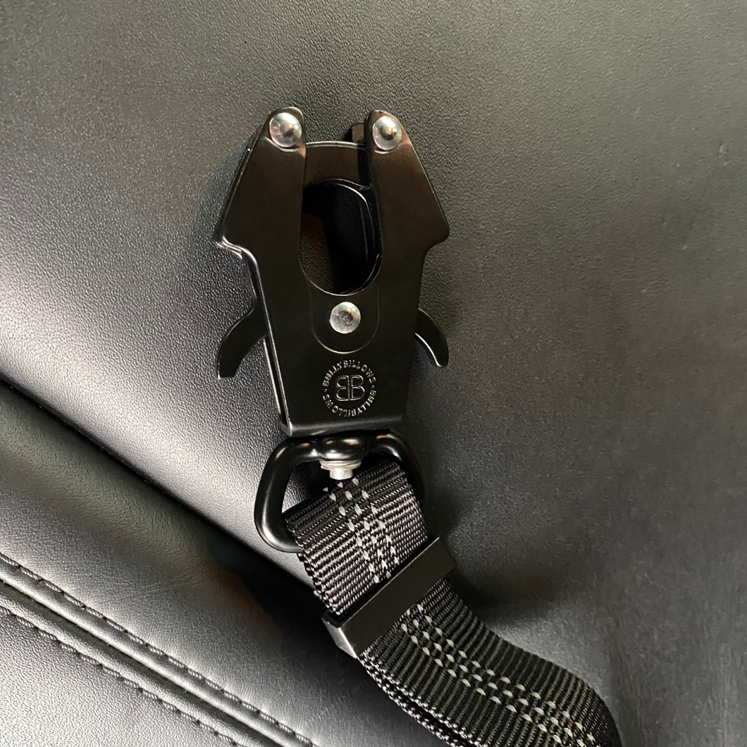 featured image of Headrest Car Seatbelt