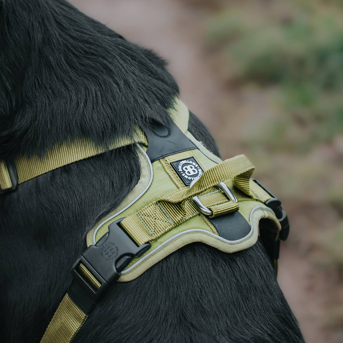 featured image of Anti Pull Hurricane Harness Lighter | With Handle - Grey