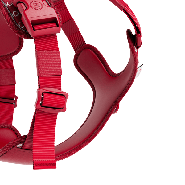 Anti Pull Hurricane Harness - With Handle - Nottingham Forest