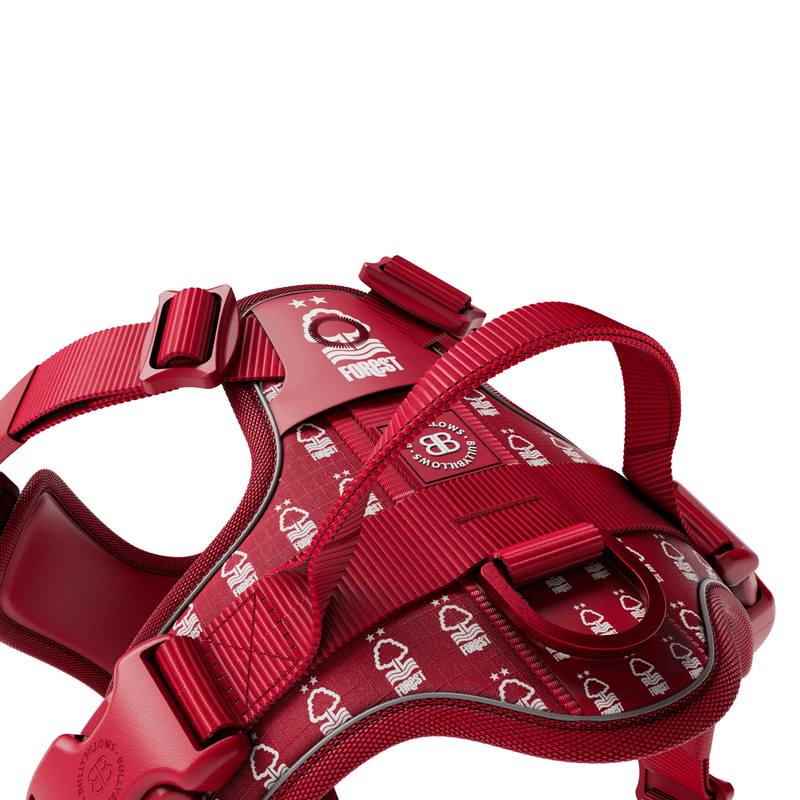 Anti Pull Hurricane Harness - With Handle - Nottingham Forest