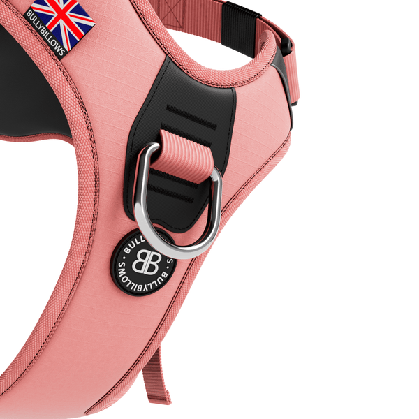 Anti Pull Hurricane Harness Lighter | With Handle - Pink