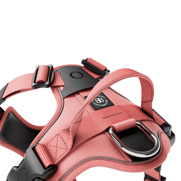 Anti Pull Hurricane Harness Lighter | With Handle - Pink