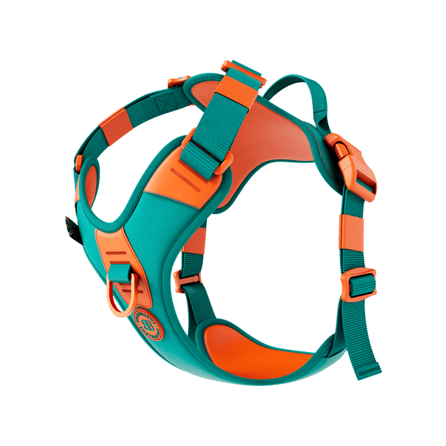 Hurricane Harness