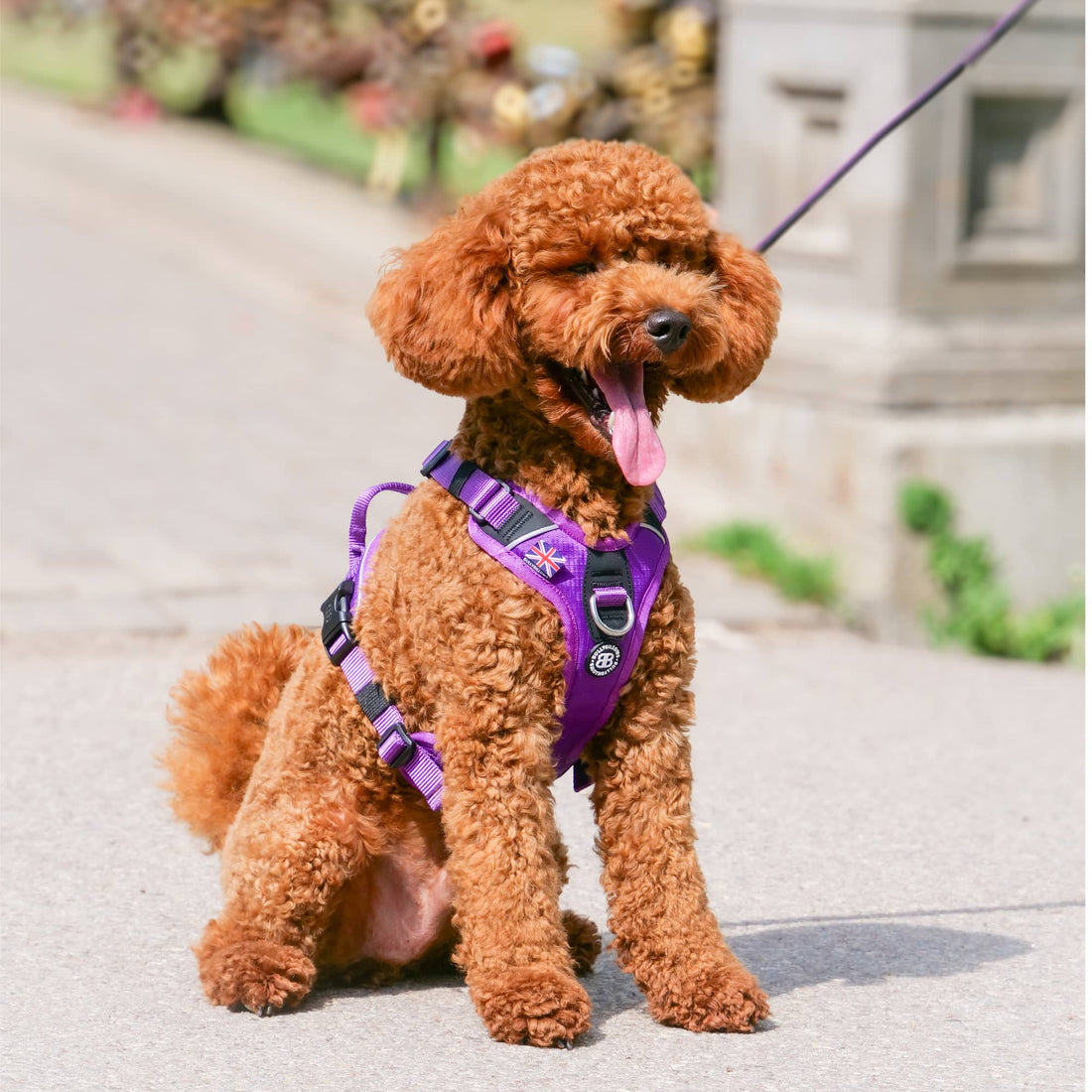 featured image of Anti Pull - Hurricane Harness - Pink