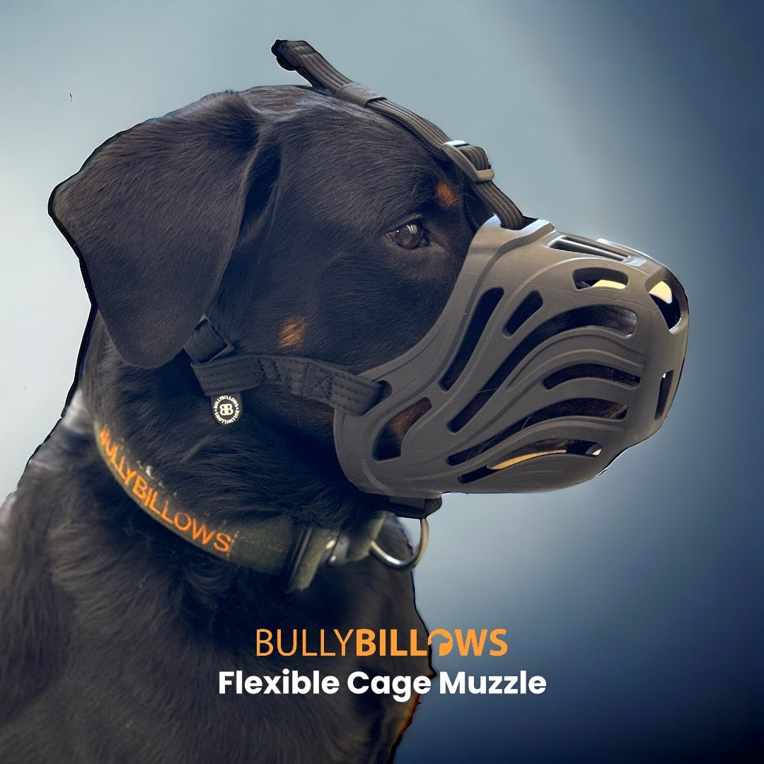 featured image of Muzzle - S-XL Breeds - Black