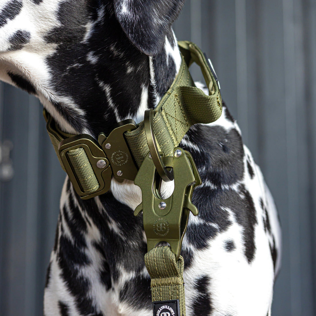 featured image of 5cm Lighter Combat® Collar | With Handle & Secure Clip - Khaki x Khaki