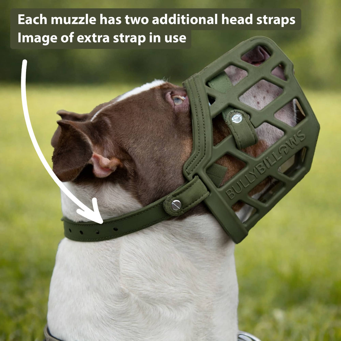 featured image of Premium Comfort Muzzle | x2 Additional Head Straps - Khaki