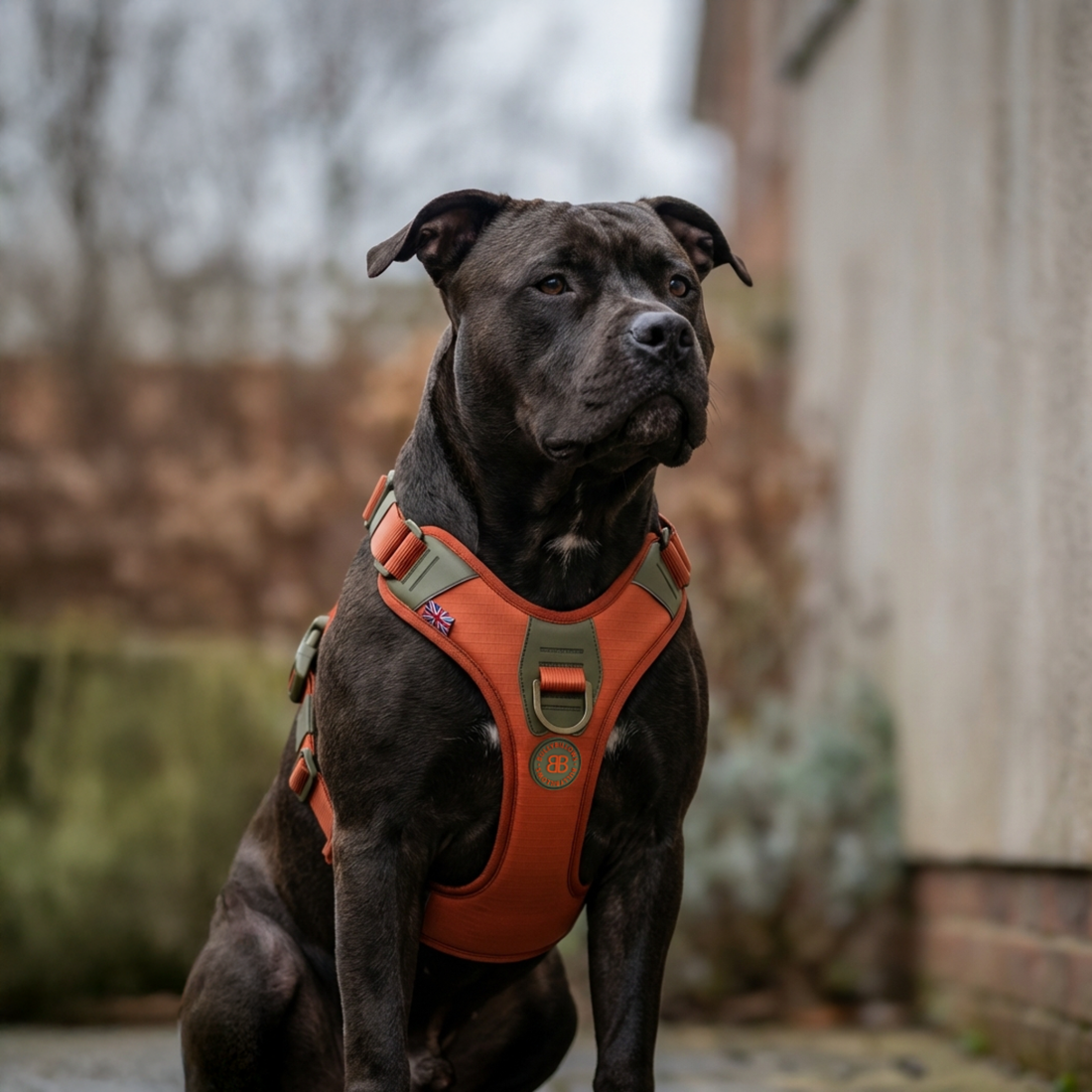 featured image of Anti Pull Hurricane Harness Lighter | With Handle - Burnt Orange X Khaki