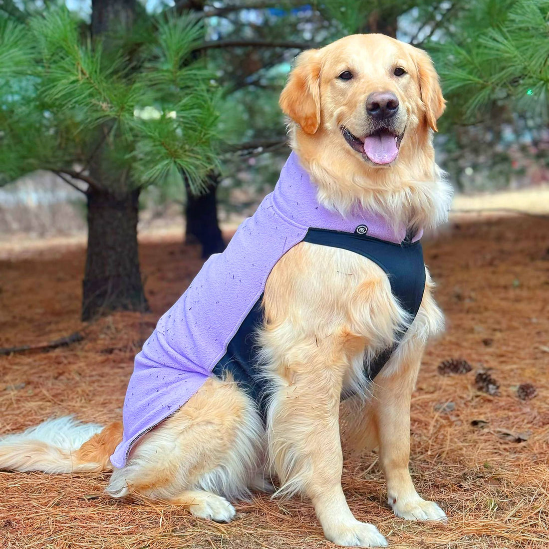 featured image of Dog Fleece With Zip