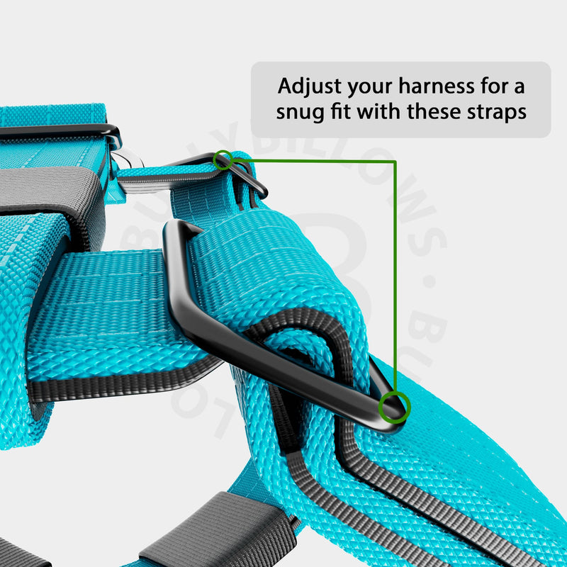 Anti-Pull TRI-Harness® | Training Dog Harness for All Breeds - Light Blue