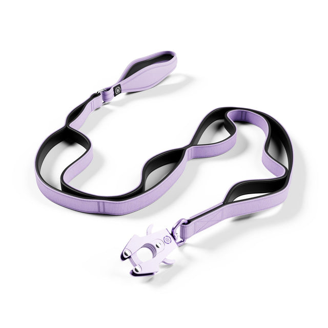 Ladder Combat® Multiple Handles Leash - Lavender Ube