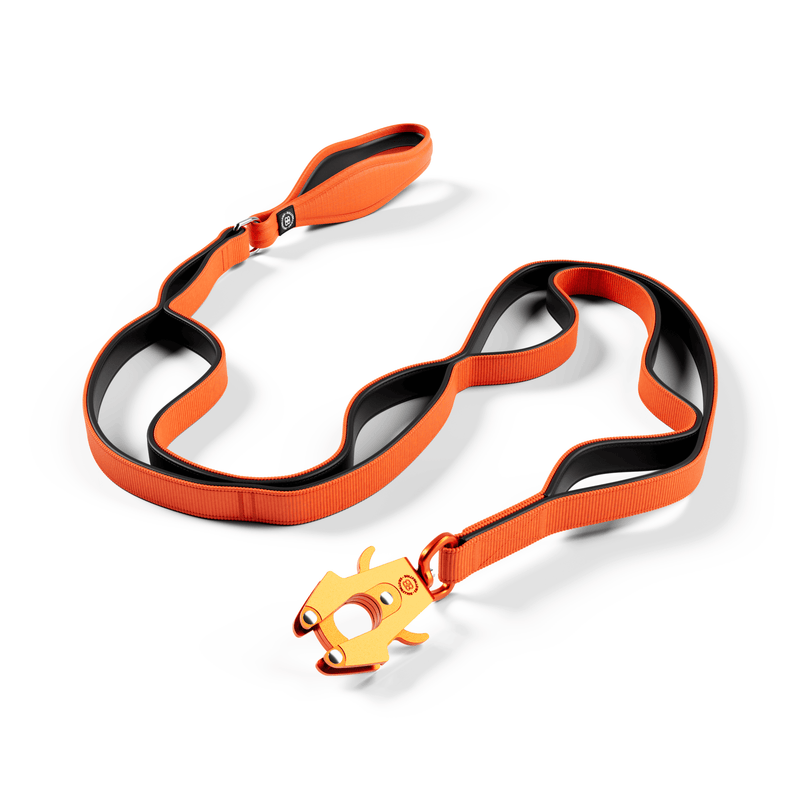 Ladder Combat® Multiple Handles Lead - Orange