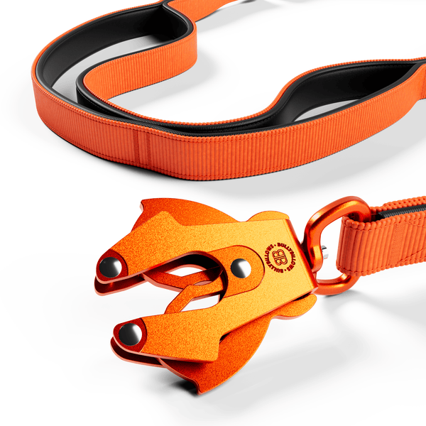Ladder Combat® Multiple Handles Lead - Orange