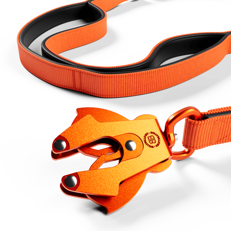 Ladder Combat® Multiple Handles Lead - Orange