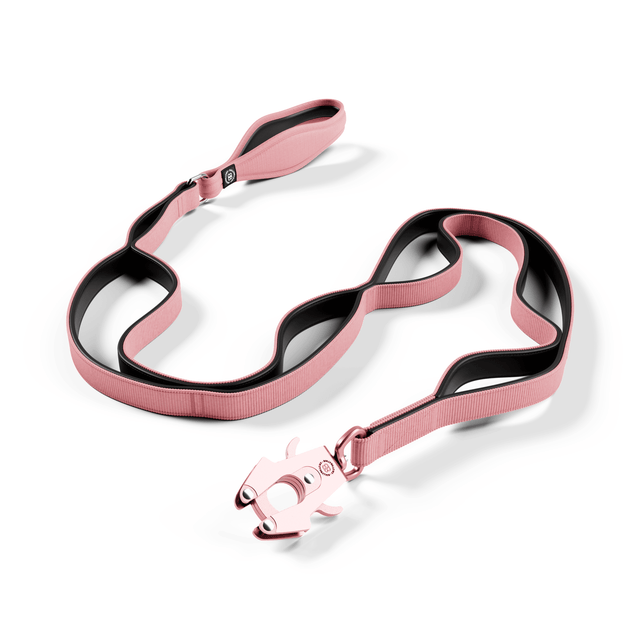 Ladder Combat® Multiple Handles Lead - Pink