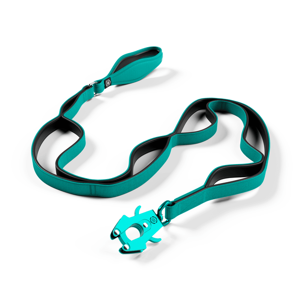 Ladder Combat® Multiple Handles Lead - Teal