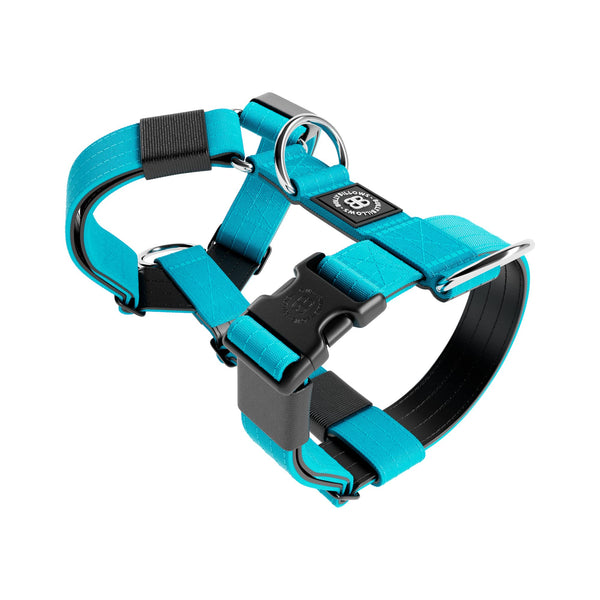 Training Anti Pull TRI-Harness® | M-XL Breeds - Light Blue