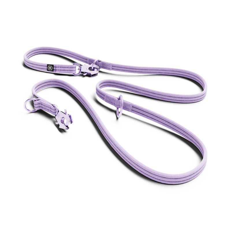 Lightweight Training Double Ended Dog Leash | 2m Length - Lavender Ube