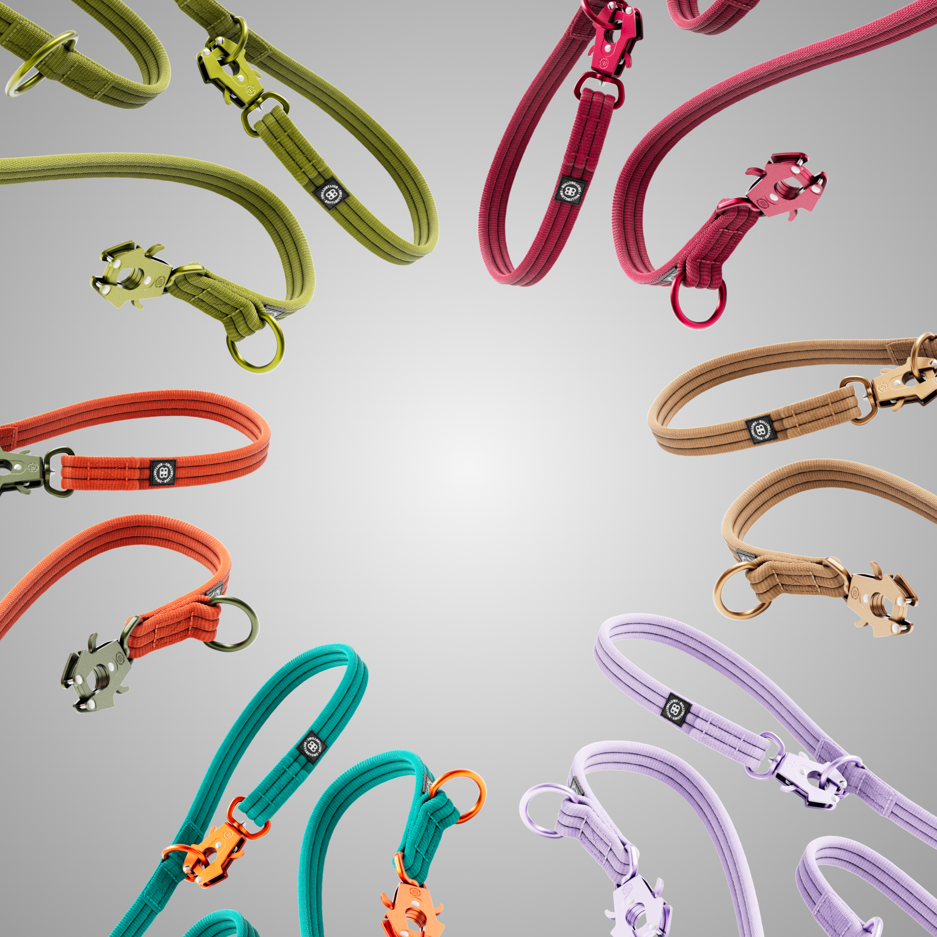 A Splash of Colour Is Coming…