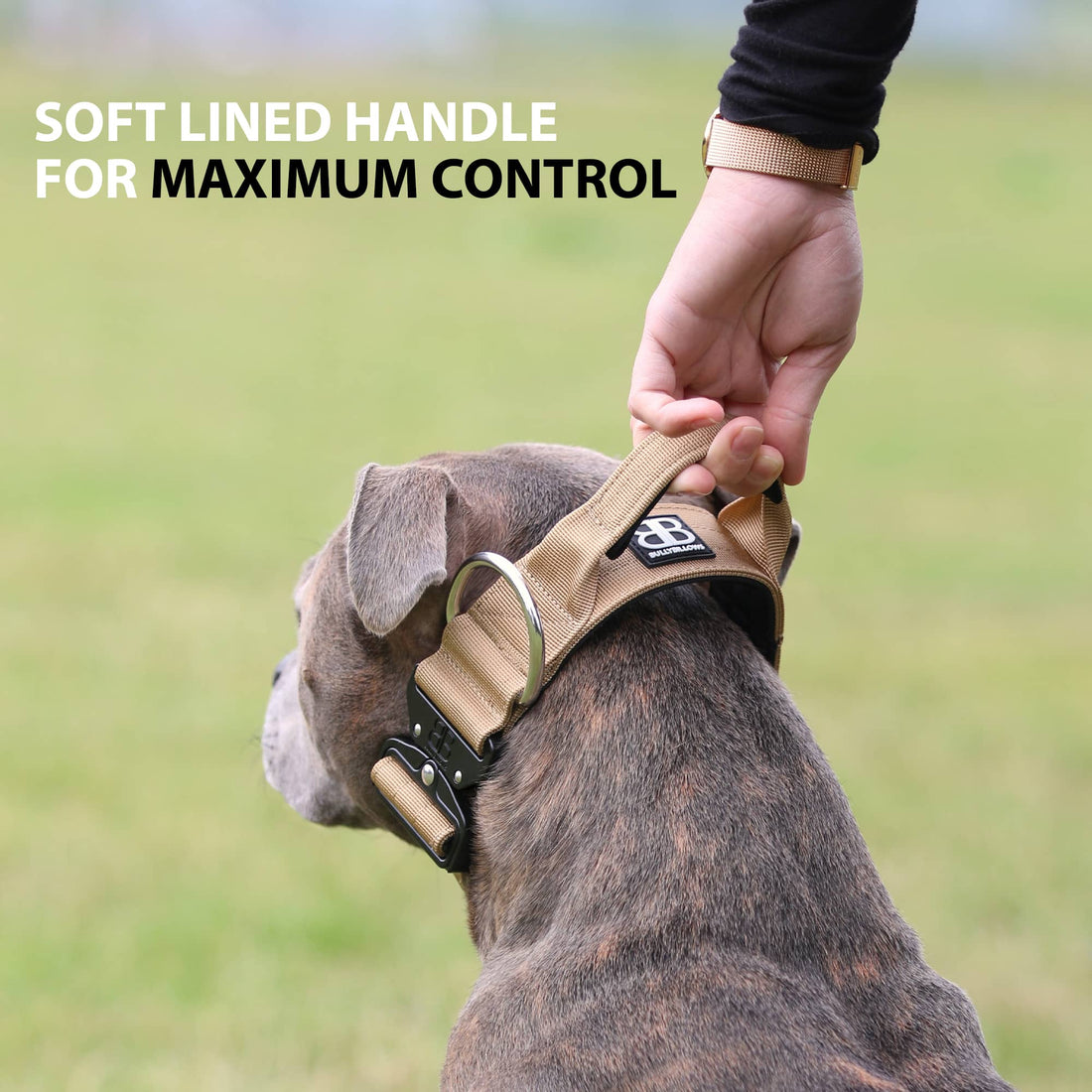 featured image of 5cm Combat® Collar | With Handle & Secure Clip - Purple
