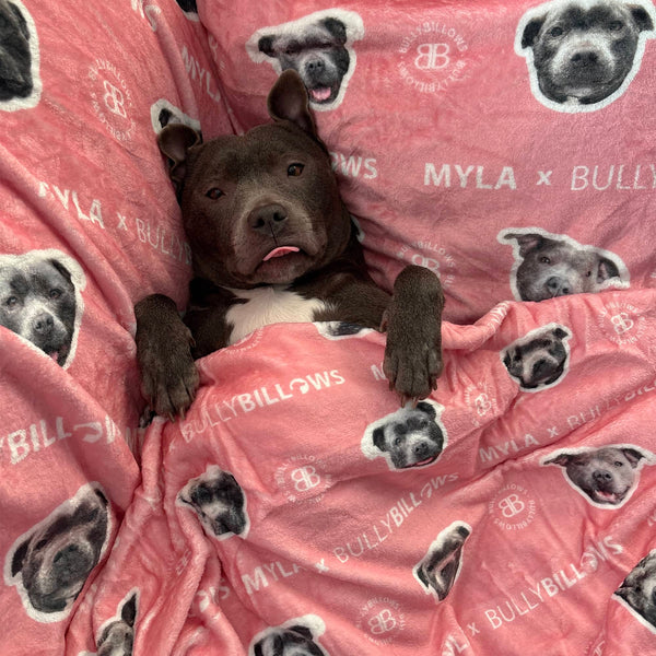 MYLA Pink Edition | Luxury Dog & Human Blanket