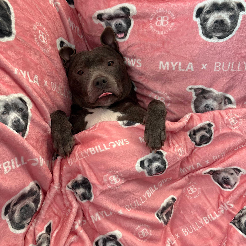 MYLA Pink Edition | Luxury Dog & Human Blanket