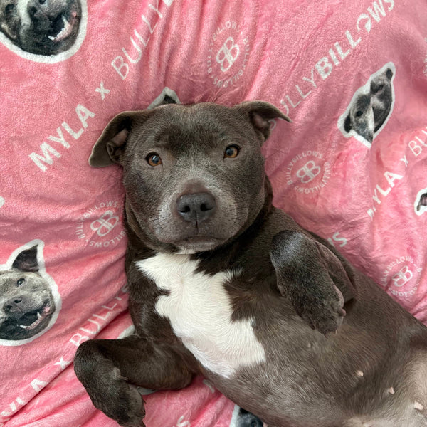MYLA Pink Edition | Luxury Dog & Human Blanket