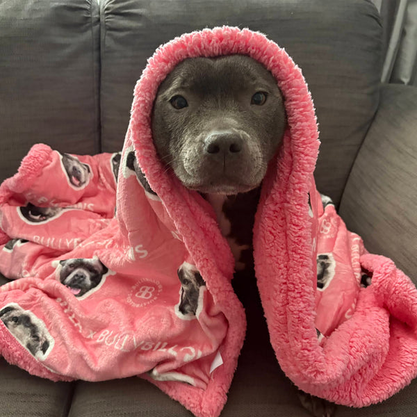 MYLA Pink Edition | Luxury Dog & Human Blanket