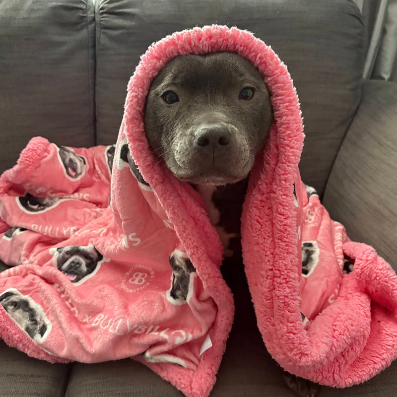 MYLA Pink Edition | Luxury Dog & Human Blanket